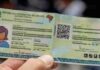 Como tirar a Carteira de Identidade Nacional