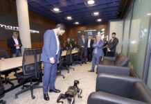 Gestão do prefeito Ricardo Nunes consolida Smart Sampa e cidade alcança marca histórica de 6 mil prisões em flagrante