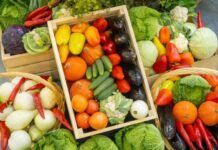 Safra de outubro: como incentivar o consumo de frutas, verduras e legumes entre crianças