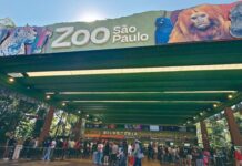Zoológico de São Paulo, Jardim Botânico e Simba Safari têm mutirão com mais de 100 vagas de emprego