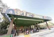 Patrulha Canina estará no Zoológico nos dias 24 e 25