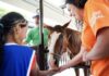 Cosap promove interação com animais na 48ª edição do Programa Recreio nas Férias