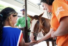 Cosap promove interação com animais na 48ª edição do Programa Recreio nas Férias