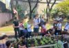 Hortas pedagógicas transformam rotina de estudantes da Rede Municipal de São Paulo