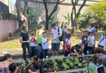 Hortas pedagógicas transformam rotina de estudantes da Rede Municipal de São Paulo