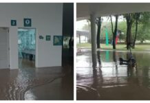 Temporal alaga Marquise do Ibirapuera recém-reformada