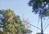 Poda de árvores danifica calçada, bancos e provoca vazamento na Vila Campestre