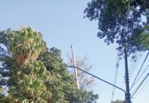 Poda de árvores danifica calçada, bancos e provoca vazamento na Vila Campestre